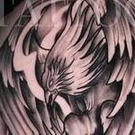 Tattoos - Black and Grey Pheonix - 142949