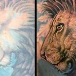 Tattoos - Before and After of Color Lion Tattoo  - 138765