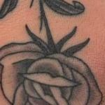 Tattoos - Rose - 143759