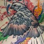 Tattoos - Sparrow - 126164