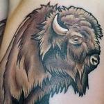 Tattoos - Bison - 125349