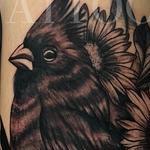 Tattoos - Cardinal - 143938