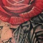 Tattoos - Progress on Snake and Roses Half Sleeve - 142747