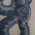 Tattoos - Snake Cover Up - 143416