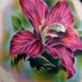 Prints-For-Sale - Flower - 35333