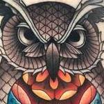 Tattoos - Owl and Skull - 145757