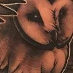 Tattoos - Owl - 129830