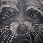 Tattoos - Racoon - 133719