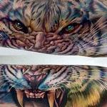Tattoos - tiger - 142727