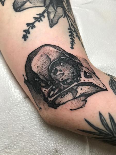 Tattoos - Cardinal - 139664