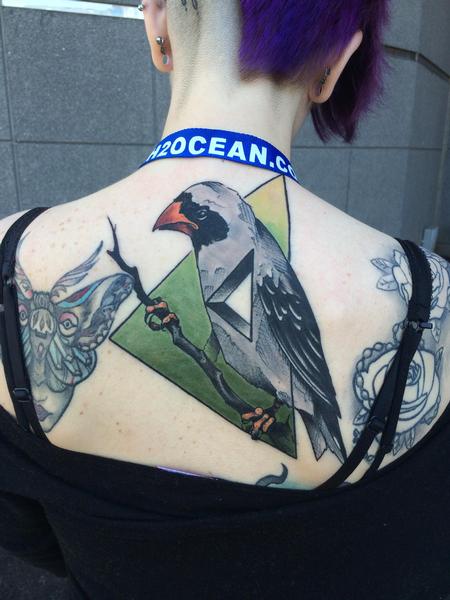 Tattoos - Red-billed Qeuleas - 115606