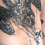Tattoos - Osprey  - 138729