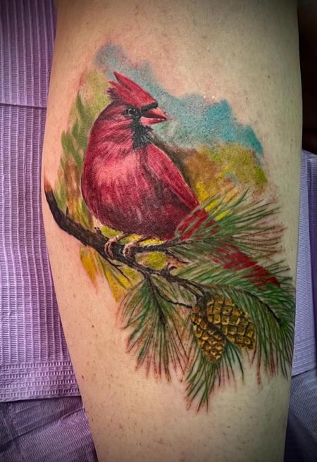 Tattoos - red cardinal  - 144681