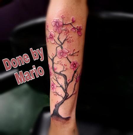 Tattoos - Cherry Blossom - 138519
