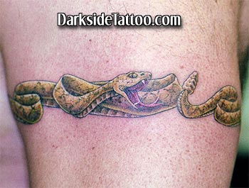 230 Snake Arm Tattoo Stock Photos Pictures  RoyaltyFree Images  iStock