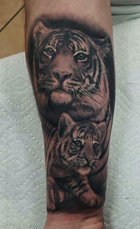 Dave Racci - Tiger and Cub