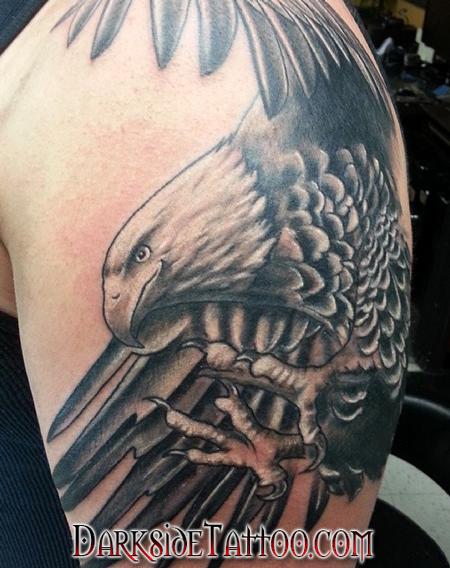 Dave Racci - Black and Gray Eagle