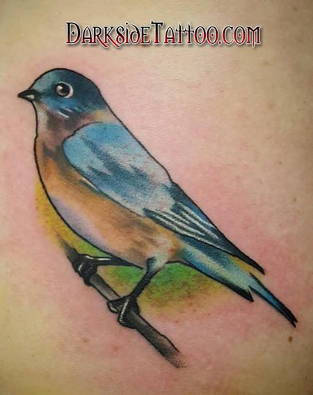 Daniel Adamczyk - Color Bird Tattoo