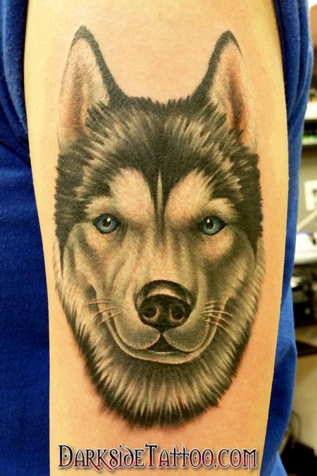 Sean O'Hara - Color Husky Portrait