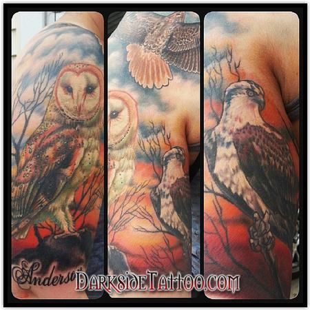 Dave Racci - Color Birds Scene Tattoo