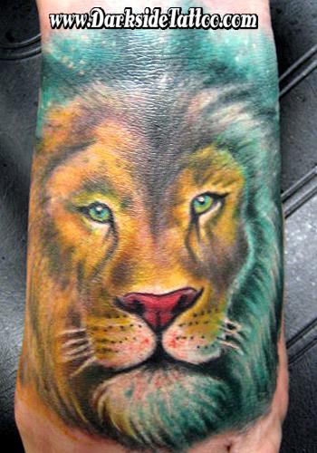 Dave Racci - Color Lion