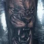 Tattoos - Lion - 142456