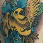 Tattoos - Color Bird Tattoo - 132129