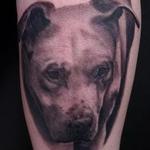 Tattoos - Dog - 145913
