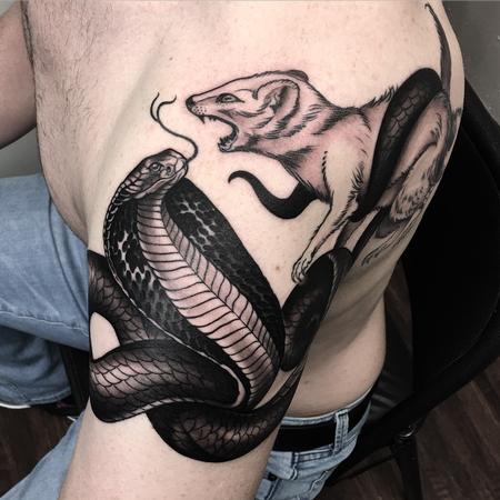 Tattoos - Cobra and Mongoose Black and Grey Tattoo - 119403