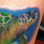 Tattoos - Sea Turtle - 65604