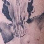 Tattoos - Naked Cow Skull Lady - 65601
