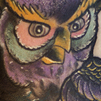 Tattoos - Hootin Owl - 70828