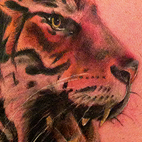 Tattoos - Roaring Tiger Tattoo - 70799