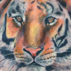 Tattoos - Tiger Tattoo - 70226