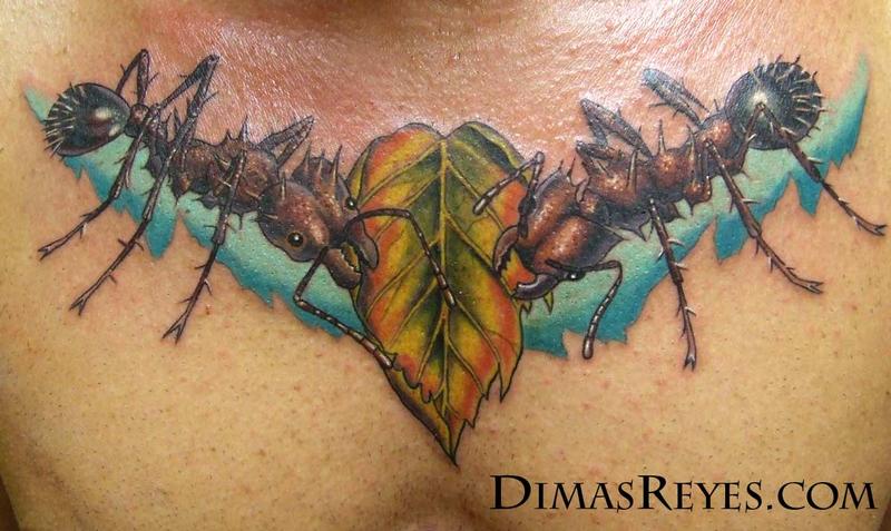 Lesbian couple gets matching ant tattoos - wide 2