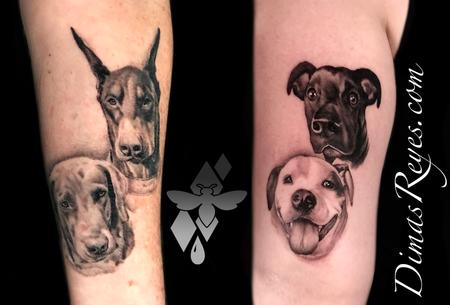 Dimas Reyes - Black and Grey Realistic Dog Portraits