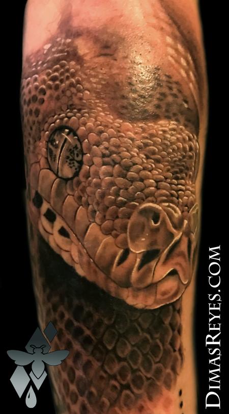 Dimas Reyes - Black and Grey Tree Viper tattoo