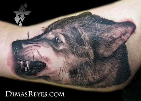 Dimas Reyes - Black and grey Wolf tattoo