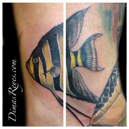 Dimas Reyes - Color Angelfish tattoo