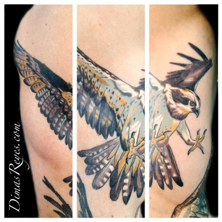 Dimas Reyes - Color Osprey Florida Tattoo