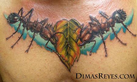 Dimas Reyes - Color Realistic Leafcutter Ants and Leaf Tattoo