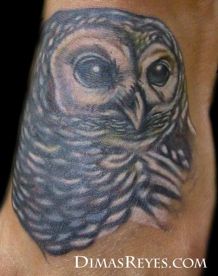Dimas Reyes - Full Color Realistic Owl Tattoo