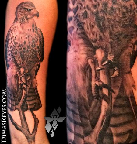 Dimas Reyes - Realistic Red Tailed Hawk Tattoo