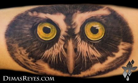 Dimas Reyes - Spectacled Owl Tattoo