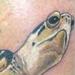 Tattoos - Color Sea Turtle tattoo - 76152