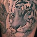 Tattoos - Black and Grey Animal Habitats Tattoo Detail - 145840