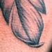 Tattoos - Black and Grey Feather tattoo - 98293