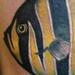 Tattoos - Color Angelfish tattoo - 76151