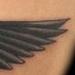Tattoos - Color Blackbird tattoo - 98292