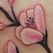 Tattoos - Color Cherry Blossom Tattoo - 68139